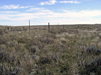 White fencemarkers prevent sage grouse collisions near one of the sage grouse leks on the Painter Ranch in South Dakota. Note the healthy mix of residual grasses and sagebrush--good for grouse and good for livestock.