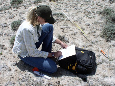 Mandi Hirsch, SGI rangeland conservationist in Lander, conducts a field inventory.