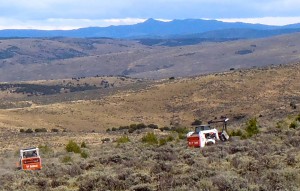 Conifer removal on Dawn Nottingham's ranch is part of the Sage Grouse Initiative. (NRCS/SGI photo).