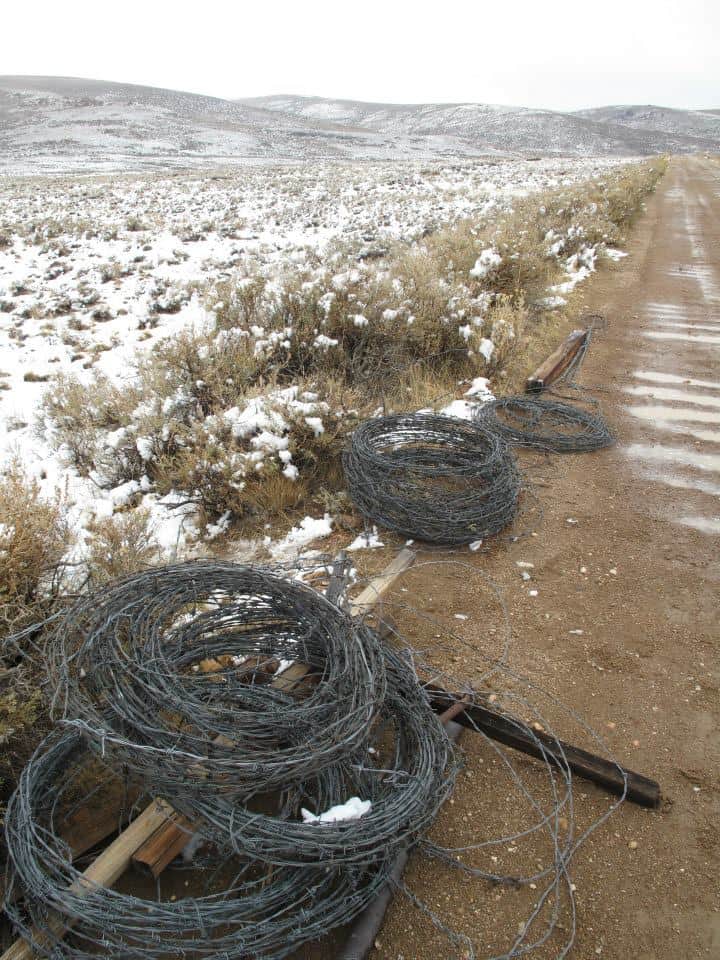 The coils of wire quickly added up --removing fence that had fragmented sage grouse habitat. (photo: Caara Fritz Hunter_
