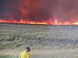 science to solutions - wildfire and cheatgrass control