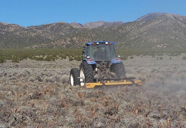 mowing treatment in sagebrush to reduce fire fuel loads