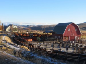 The Bennetts' ranch near Unity, Oregon is home to a host of conservation practices.