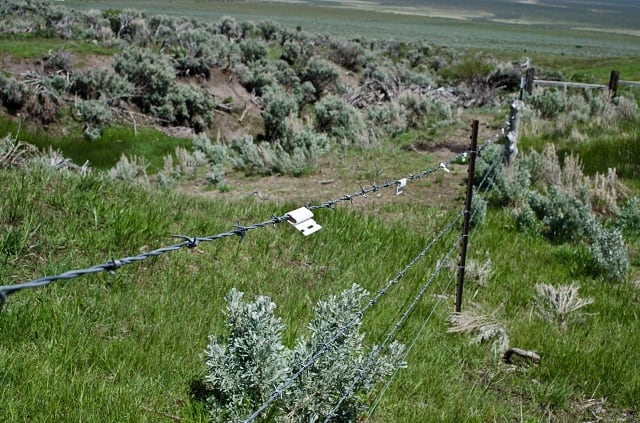 Reflective markers on this fence protecting wet meadow habitat ensures sage grouse won't fly into the wires.