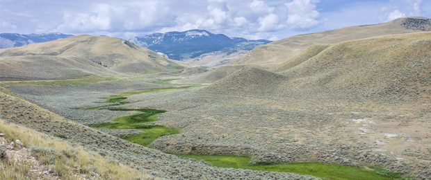 Sagebrush landscape including a green riparian ribbon in Montana. Credit: iStock