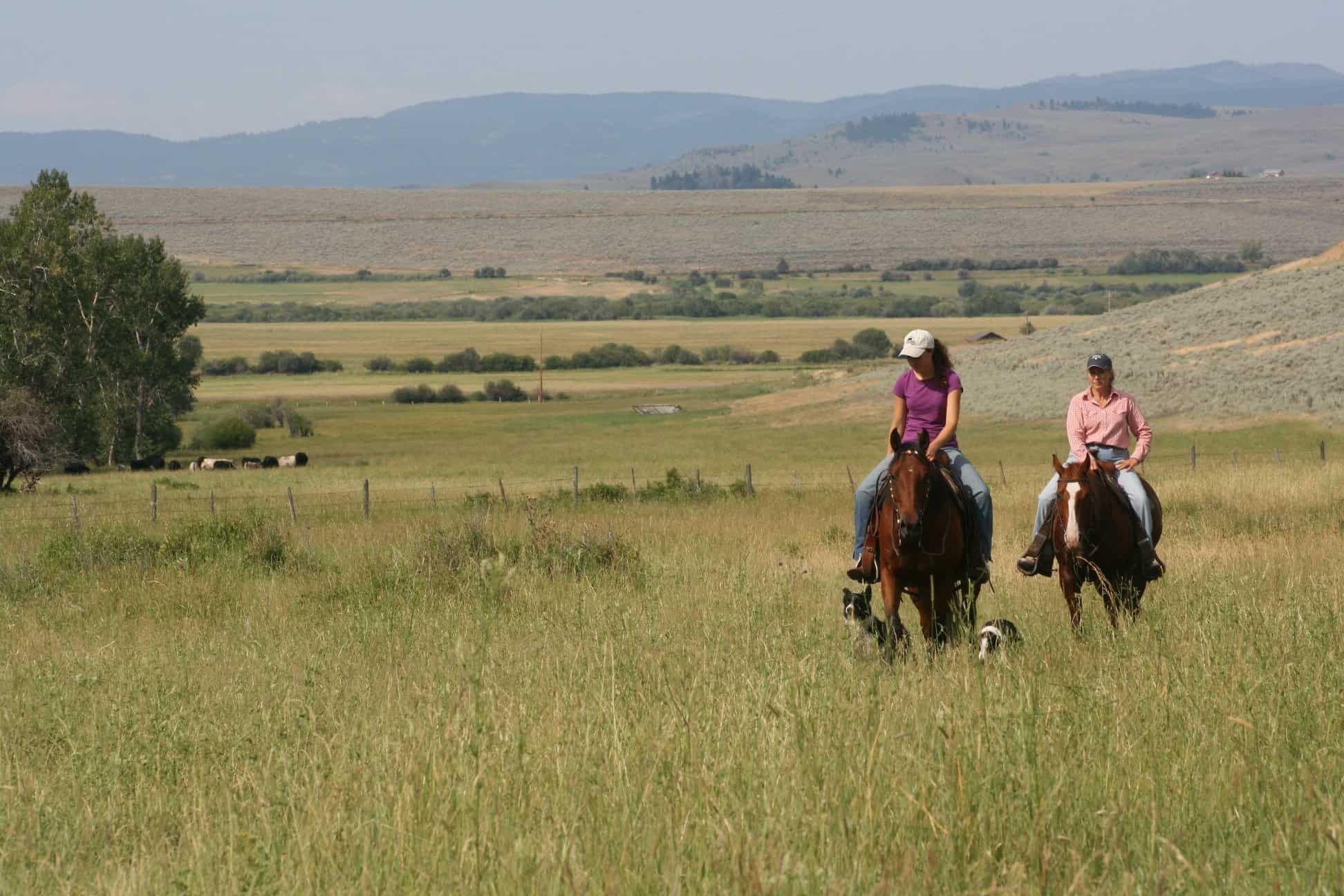 ranchers in meadow_credit_MT Stockgrowers Assoc