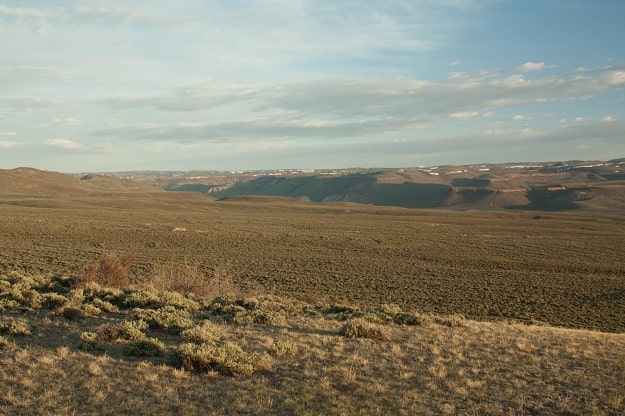 These BLM-owned sagebrush flats near the Peterson Ranch are where the Gunnison sage-grouse gather each spring to perform their elaborate mating dance.