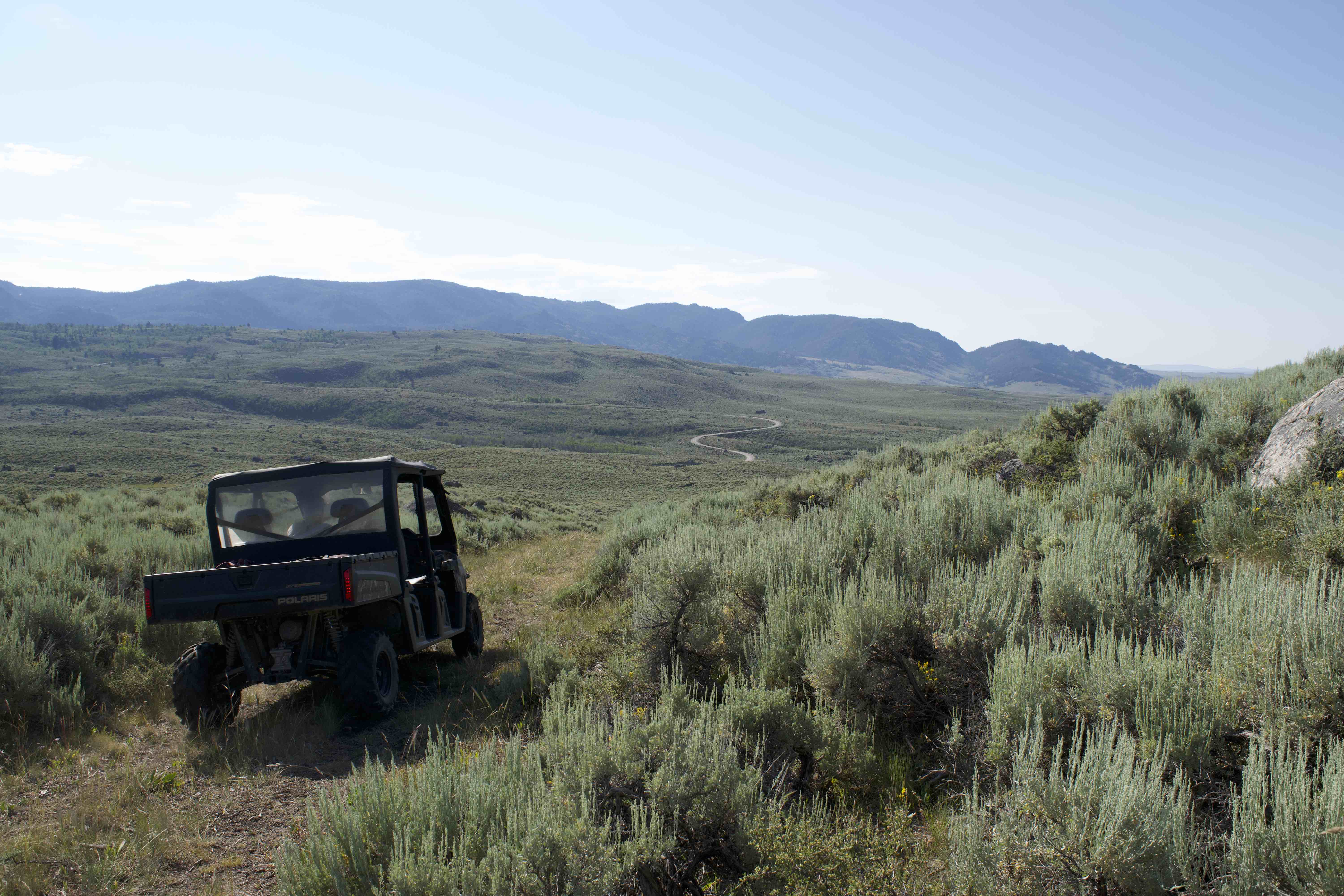 Morris worked with the Sage Grouse Initiative and other conservation partners to treat cheatgrass along roads and aerially.