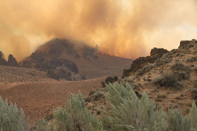 The Soda Fire burned nearly 280,000 acres of sagebrush country in Idaho and Oregon. Photo: BLM Idaho