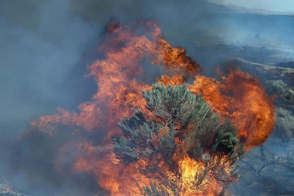 fire engulfs sagebrush near Roosevelt WA - AP Photo/Don Ryan, File