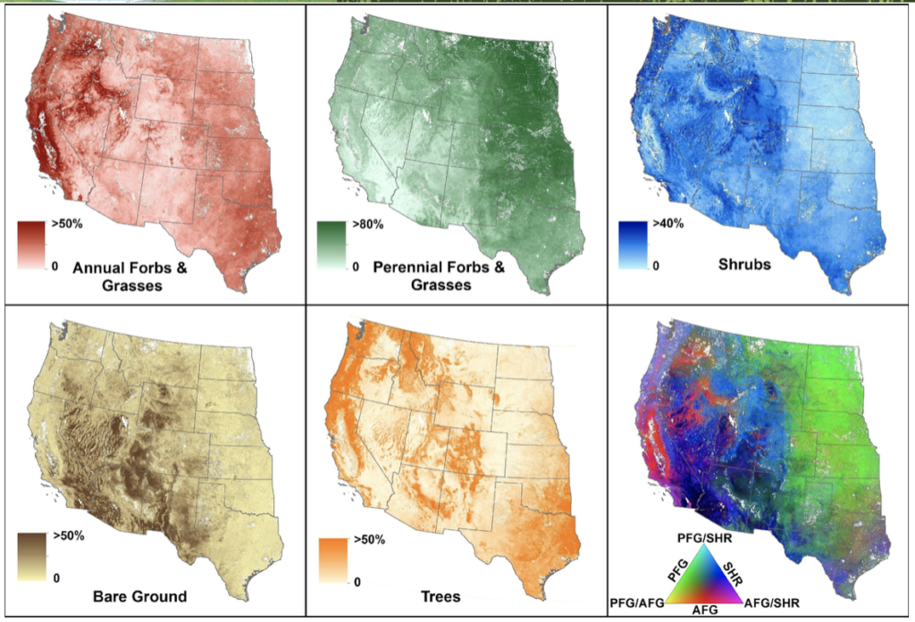 Maps produced by the Rangeland Analysis Platform show the percent vegetation cover estimates of five different types of ground cover, as well as a composite map for three vegetation classes.